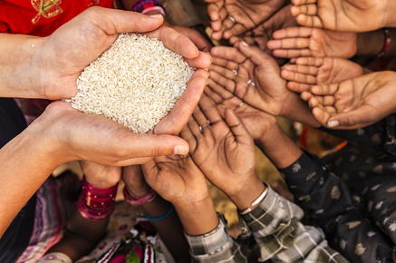 Global Food Crisis:  A looming catastrophe